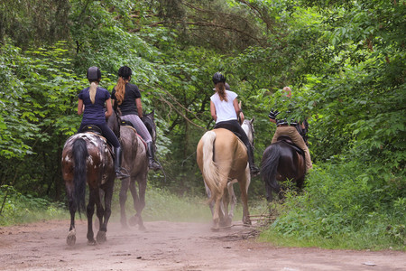group horseback ride outing in forest